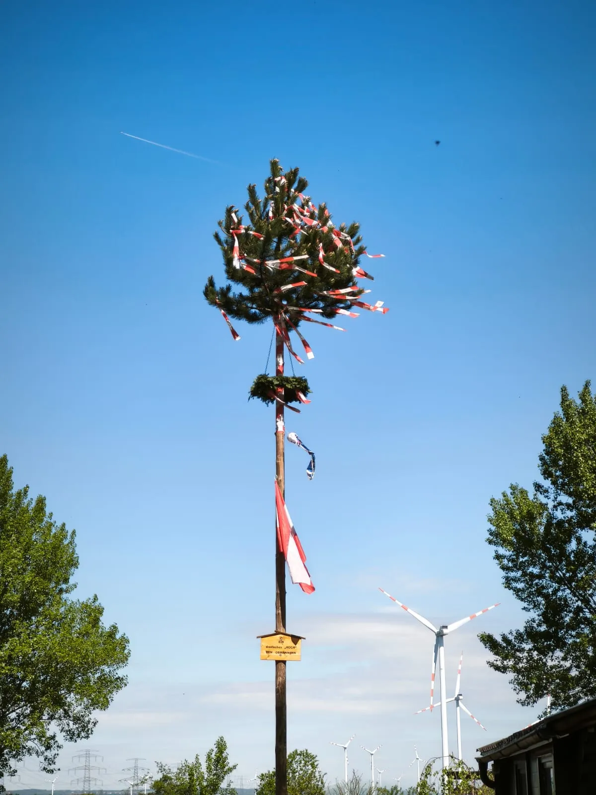 Maibaum aufstellen 2026 – Dreibirkenteich